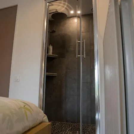 Agreable Independant Avec Veranda Vienne (Isere)