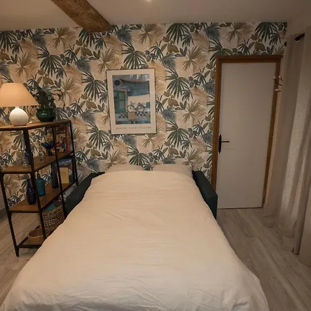 Agreable Independant Avec Veranda * Vienne (Isere)